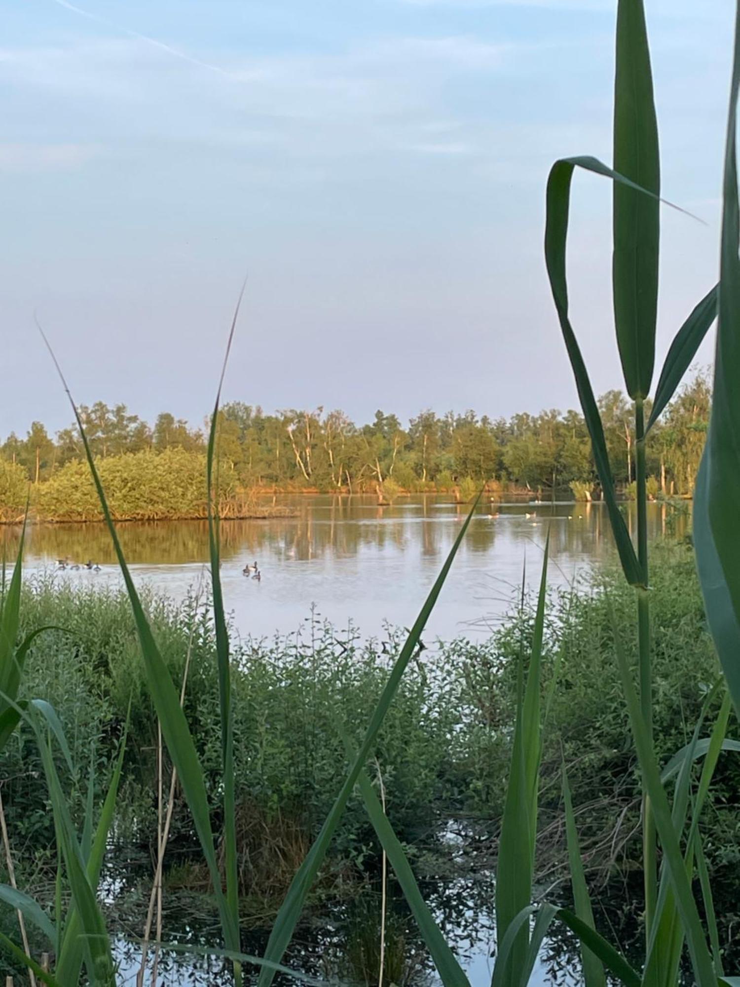Vakantiewoning Hegga Hegelsom Exteriér fotografie